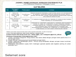 PLN ULP Blora Umumkan Jadwal Pemeliharaan Jaringan, Sejumlah Wilayah Alami Pemadaman Listrik Terjadwal