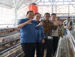 ‎Perkuat Ketahanan Pangan, Blora Kembangkan Kandang Petelur Berbasis Desa dan Hilirisasi Jagung Lokal