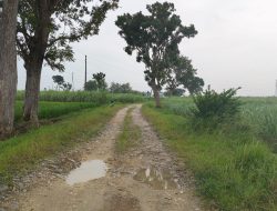 ‎Kurang Lebih 4,6 Kilometer Masih Rusak, Warga Gemporejo Berharap Pembangunan Jalan  Tahun Ini Dilanjutkan