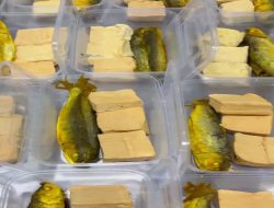 Ini Fakta Sesungguhnya: Temuan Satu Porsi Menu Diduga Tak Layak, SPPG Kamolan Blora Ganti Seluruh 395 Porsi Makanan Siswa