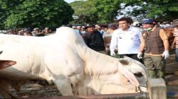 Bupati Blora Sidak Pasar Pon, Transaksi Hewan Kurban Tembus Rp12 Miliar Jelang Iduladha