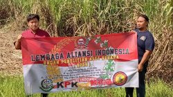 Aliansi Indonesia Tinjau Panen Perdana Tebu BUMDes Dahlia Tamanrejo, Digadang Jadi Motor Ekonomi Desa