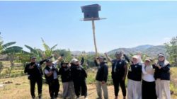 Tiga Tahun Sawah di Karanganyar Todanan  Blora Terancam Tikus, Mahasiswa IPB Pasang 5 Rumah Burung Hantu ‎